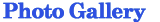 �_�C�r���O���ɎB�e���ꂽ�������ł�